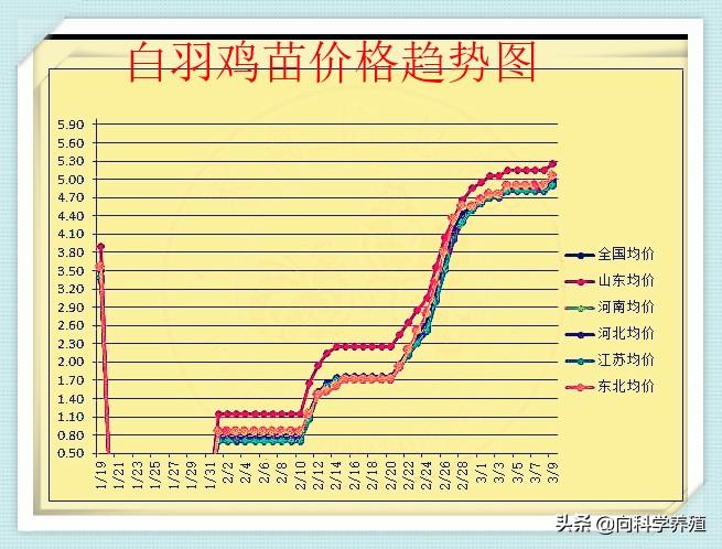 狐疑不决 第10页