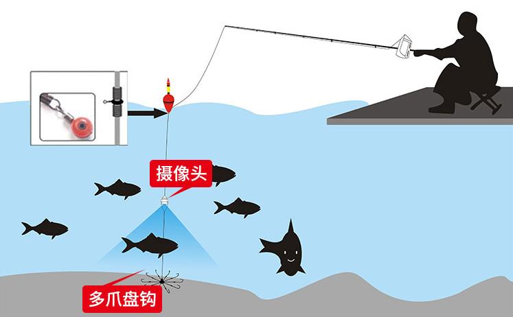 最新筏钓黑鲷视频,最新筏钓黑鲷视频，技巧、经验与实践的完美结合