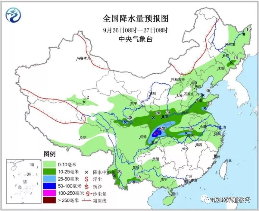 叶公好龙 第8页