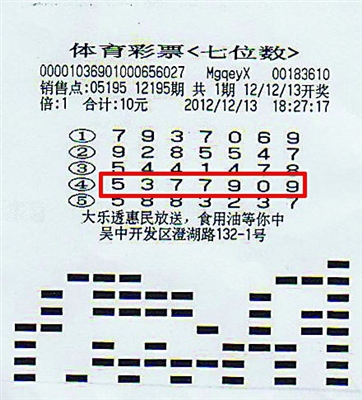 2004年澳门特马开奖号码查询,澳门彩票的开奖号码查询与犯罪问题探讨——以2004年澳门特马开奖号码查询为例