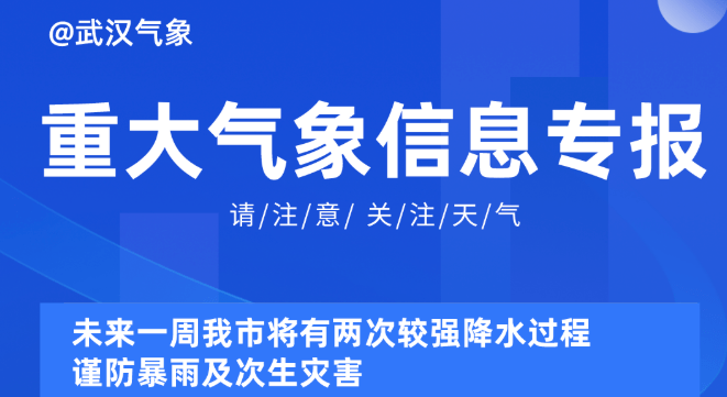 新奥精准资料免费提供510期,新奥精准资料免费提供第510期深度解析