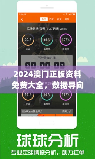 新澳2024年精准资料245期,新澳2024年精准资料245期深度解析与预测