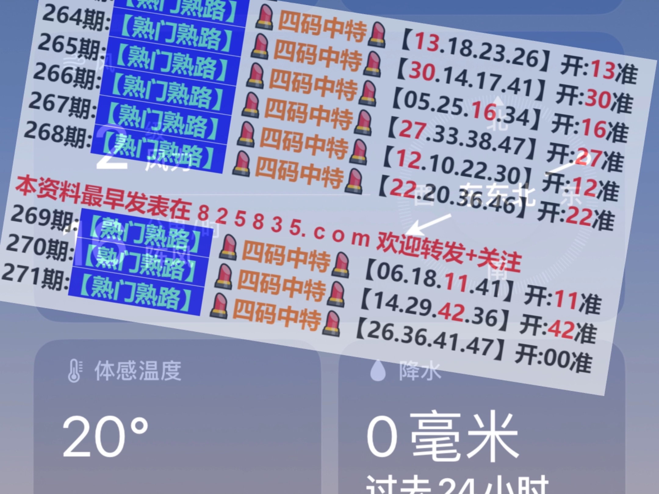 2024新奥门免费资料,探索新奥门，揭秘免费资料的秘密（2024年最新更新）