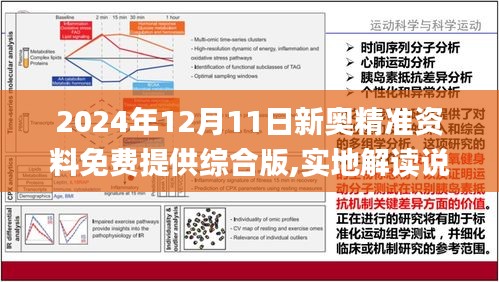 2025精准资料免费提供最新版018期 04-11-12-20-38-42D：05,探索精准资料之路，2025最新018期及关键词详解